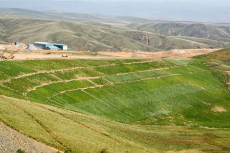 Засгийн газрын даалгавраар 110 га талбайд нөхөн сэргээлт хийжээ