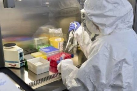 Ковид-19-ын эргэн тойронд: Тандалт, судалгааны тойм - 8,9. ХӨСҮТ-ийн тархвар судлаач Б.Нямдулам