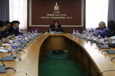 Монгол Улсад Хөдөлмөр эрхлэлтийг дэмжих төслийн мэдээлэл солилцох уулзалт боллоо