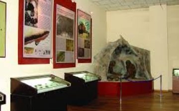 Сонсголын бэрхшээлтэй 300 гаруй иргэн дохионы хэлний орчуулагчийн тусламжтайгаар музей үзлээ