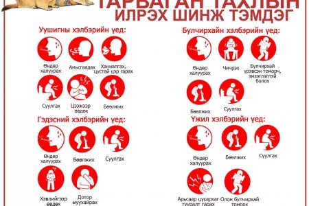 Тарваган тахал өвчнөөс сэргийлцгээе‼️