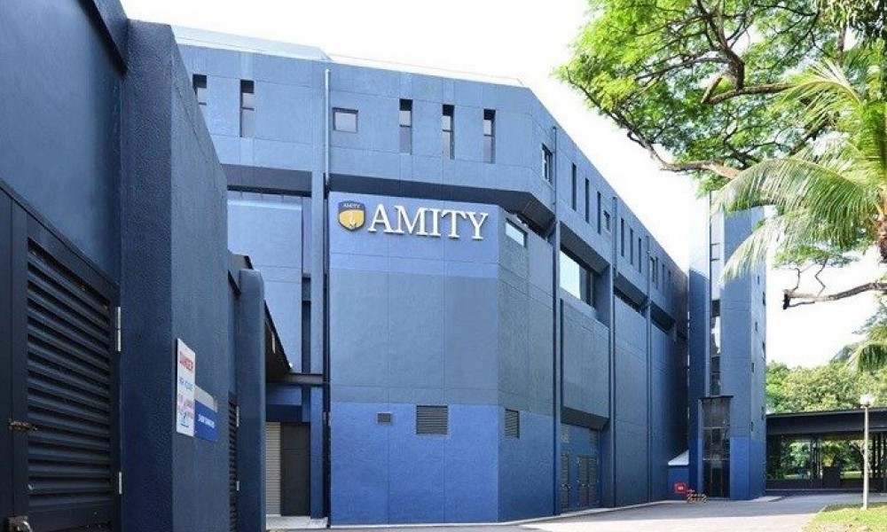 Amity institute 