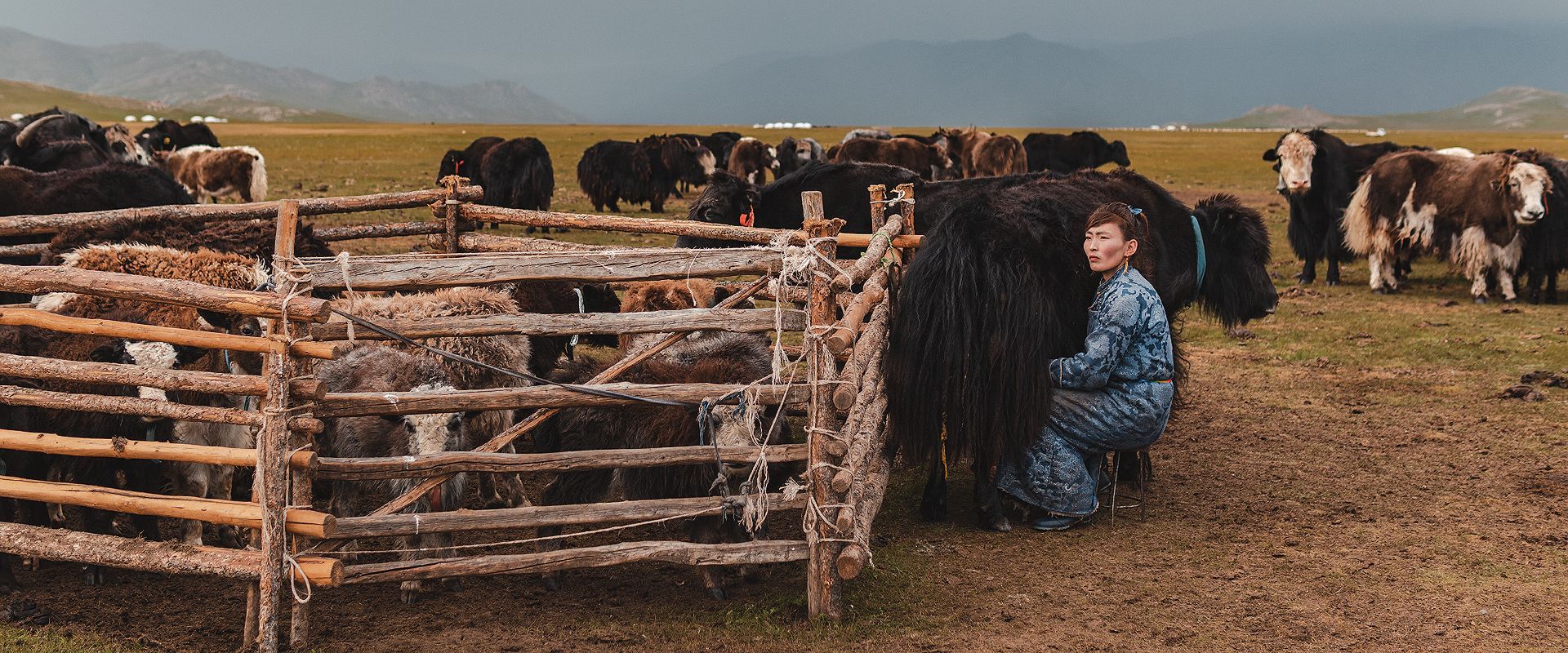 JOIN THE QUIET LIFE OF THE YAK HERDERS IN THE ARKHANGAI PROVINCE, AT THE GATE OF A MAGICAL ADVENTURE TO THE WEST