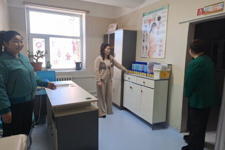 Эрүүл мэндийн газрын даргаар ахлуулсан ажлын хэсэг 1-р сарын 9–10-ны өдрүүдэд Хархорин, Хужирт, Бат-Өлзий сумдад ажиллав.