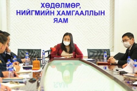 “ХҮҮХЭД ХАМГААЛАГЧ” ТӨСӨЛ 2020 ОНД ХЭРЭГЖИНЭ