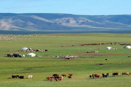 ONE DAY TOUR TO COMMUNITY OF HERDERS IN THE STEPPE REGION