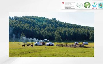 Online training 11: NGO project proposal writing/Төсөл хөтөлбөр боловсруулах