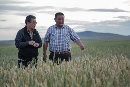 Цаг үеийн асуудлыг шуурхай шийдвэрлэж ажиллахыг үүрэг болголоо