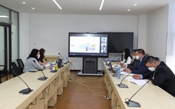 An online meeting with representatives of the ADB 