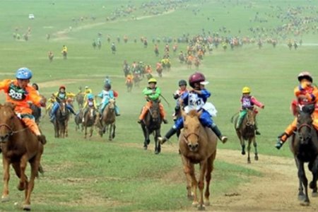 Хурдан морь унаач хүүхдийн хөдөлмөр эрхлэлт 5-7 наснаас эхэлдэг