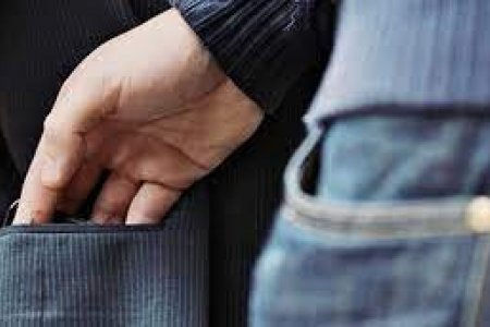 Халаасны хулгайн гэмт хэргийн 82.5 хувийг гар утасны хулгай эзэлж байна