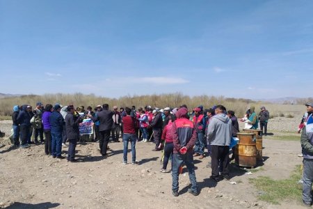 626 ширхэг загасыг хураан авчээ