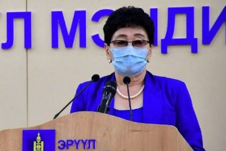 ЭМЯ: Улаанбаатарт 22 шинэ тохиолдол нэмэгдэж, улсын хэмжээнд бүртгэгдсэн тохиолдол 1308 боллоо