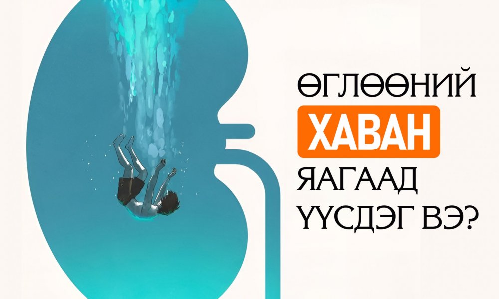 Өглөөний хаван юу өгүүлдэг вэ?