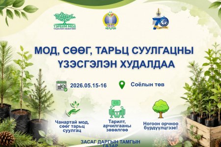 МОД, СӨӨГ, ТАРЬЦ СУУЛГАЦНЫ ҮЗЭСГЭЛЭН ХУДАЛДАА БОЛНО.