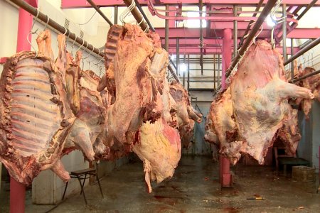 МАХ, МАХАН БҮТЭЭГДЭХҮҮНИЙ ҮЙЛДВЭРҮҮДИЙН ЗӨРЧИЛ ӨМНӨХ ОНООС 80 ХУВИАР ӨСЖЭЭ