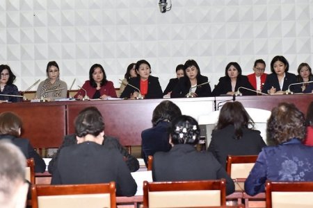 Улс төрийн намуудын дэргэдэх эмэгтэйчүүдийн байгууллагуудын ЗӨВЛӨЛДӨХ УУЛЗАЛТ боллоо