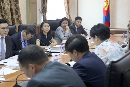 Мянганы сорилтын сангийн төлөөлөгчидтэй уулзаж санал солилцлоо
