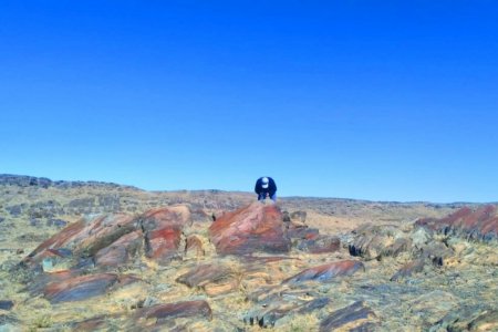 Дэл уул, Цагаан суварга орчмыг улсын тусгай хамгаалалтад авна