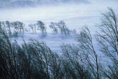 Цаг агаарын аюултай үзэгдлээс сэрэмжлүүлж байна