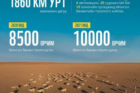 МОНГОЛ БӨХӨНГИЙН ТОО ТОЛГОЙ ӨССӨН БАЙНА