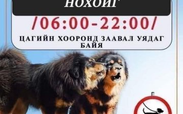 СУМЫН ЗОЛБИН НОХОЙН УСТГАЛ ХИЙГДЛЭЭ