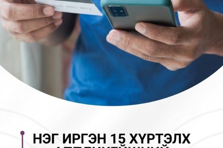 Нэг иргэн 15 хүртэлх аппликейшний зээлтэй байна 