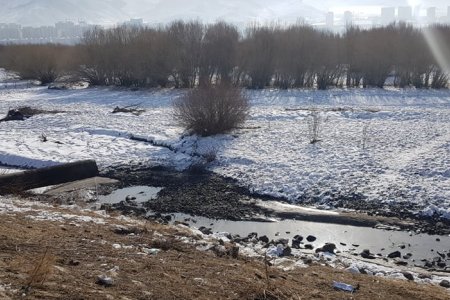 ТУУЛ ГОЛД ҮҮССЭН НӨХЦӨЛ БАЙДАЛД АРГА ХЭМЖЭЭ АВЧ АЖИЛЛАЖ БАЙНА