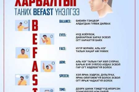 ХАРВАЛТЫГ ТАНИХ – BEFAST ҮНЭЛГЭЭ