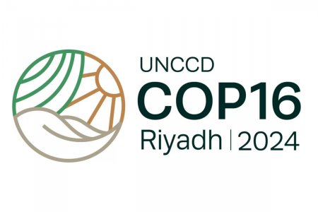 MNFPUG Shows Effort at COP16 in Saudi Arabia
