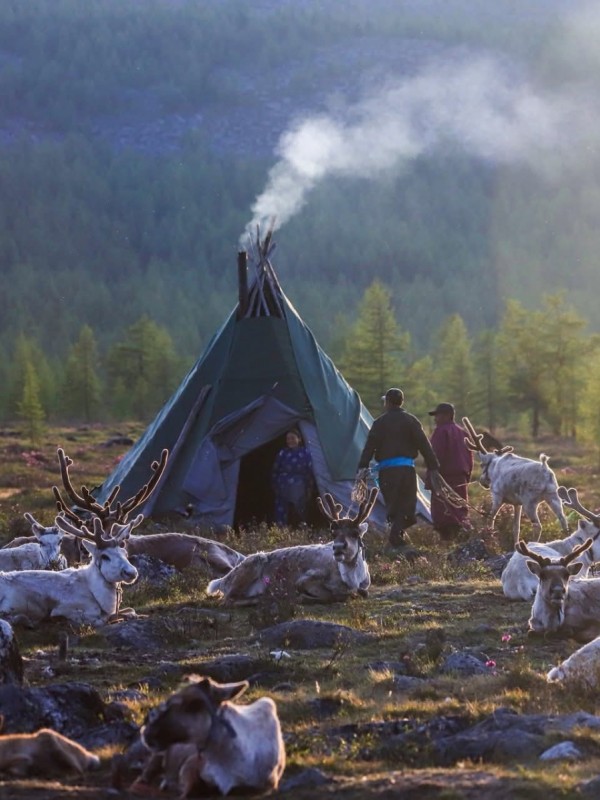 Tsaatan Reindeer & Lake Khuvsgul Journey