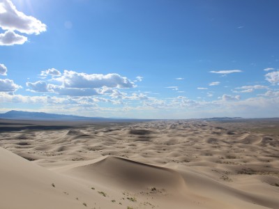 Gobi Desert Comfort