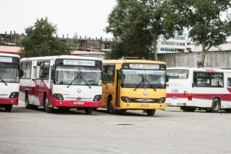 Нийтийн тээврийн 36 чиглэлд 60 автобус нэмж үйлчилгээнд гаргана