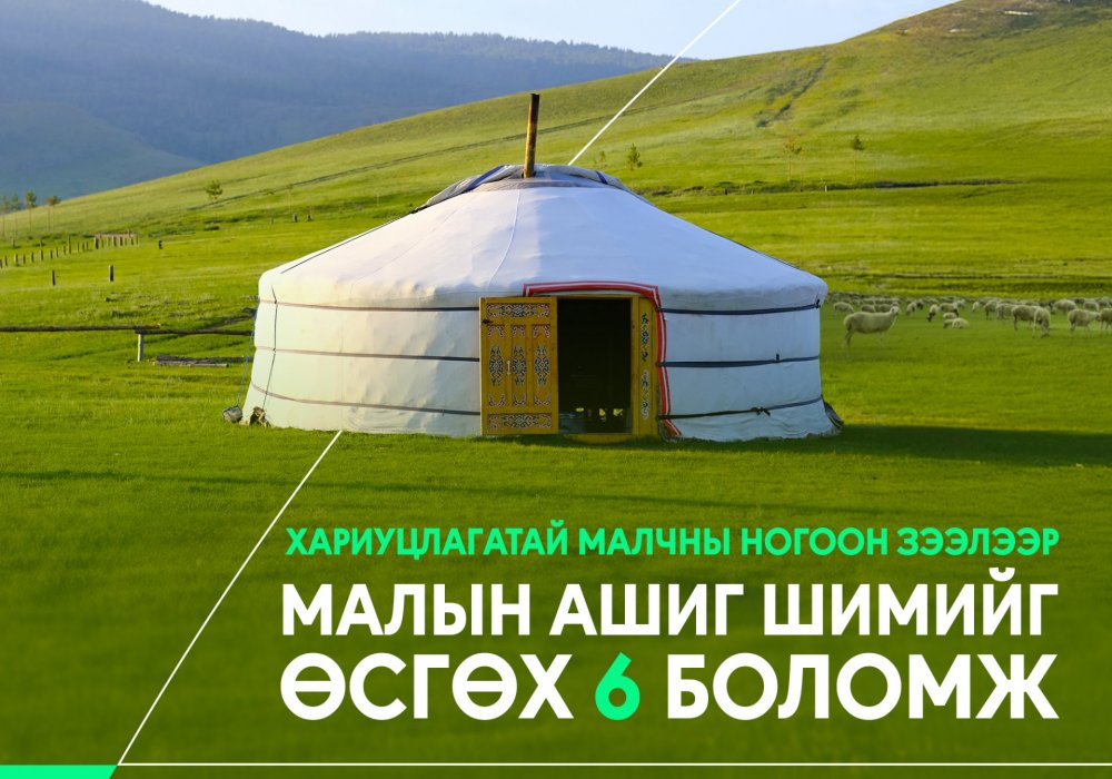 Хариуцлагатай малчны ногоон зээлээр малын ашиг шимээ арвижуулаарай.