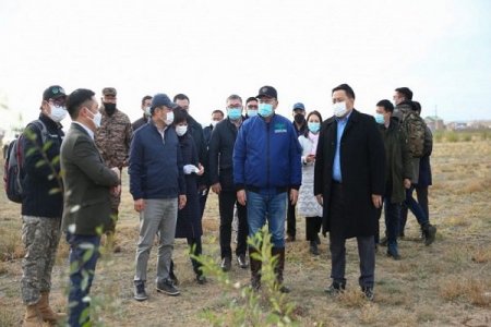 “Тэрбум мод” үндэсний хөдөлгөөн Өмнөговь аймагт өрнөж эхэллээ