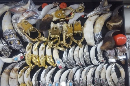 Ховор амьтан, ургамлын гаралтай эд хэрэгсэл, бэлэг дурсгалын зүйл худалдан авахгүй байхыг анхааруулж байна