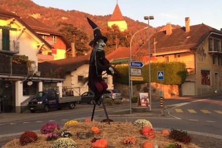 Төрийн болон хувийн ЕБС-иудыг 