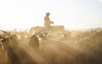 Бэлчээрээ цаашид ч хариуцлагатай ашиглаасай