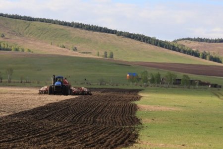 Улсын хэмжээнд нийтдээ 390.6 мянган га-д тариалалт хийжээ