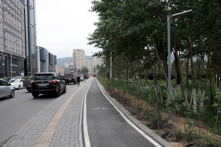 Богдын музейн хашааны оронд 2840 гоёлын мод тариад байна