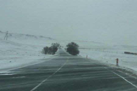 Говь-Алтай, Булган, Төв аймгийн нутгуудаар цасаар шуурч байна