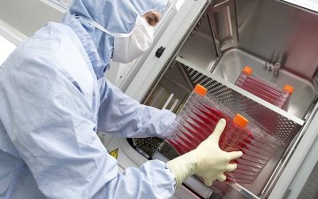 Эрхтэн шилжүүлэх нас 25 байсныг 21 болгон өөрчлөх хуулийн төслийг өргөн барилаа