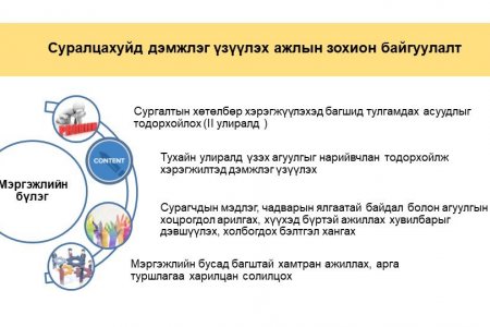 Багш нар “Мэргэжлийн бүлэг”-ээр сүлжээ үүсгэн хамтран ажиллана