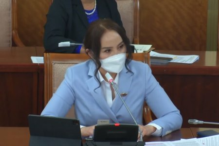 УИХ-ын гишүүн Ц.Мөнхцэцэг цар тахлын нөхцөлд хүний эрхийг хангах саналууд гаргажээ