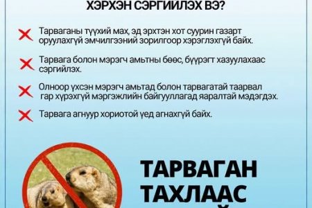 Тарваган тахал өвчнөөс сэргийлье!