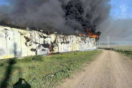 Төв аймгийн шувууны аж ахуйд гарсан галыг унтраахаар ажиллаж байна