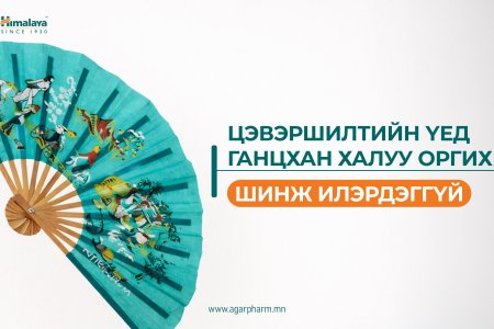 ЦЭВЭРШИЛТ — ХАЛУУ ОРГИХООР ХЯЗГААРЛАГДАХГҮЙ