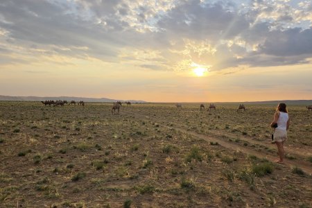 Stories from the Steppe: A Silver Anniversary on the Frontier