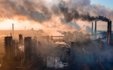 Дэлхийн нийт хүн амын 99 хувь нь бохир агаараар амьсгалж байгаа талаар ДЭМБ-аас мэдэгдэв