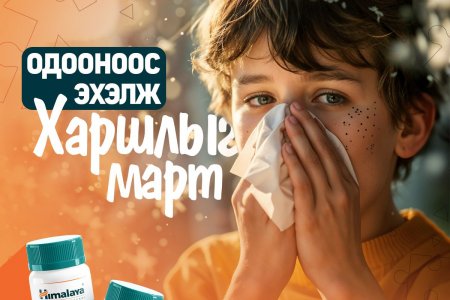Харшлын 60%-д нүд улайж загатнан, нулимс гоождог